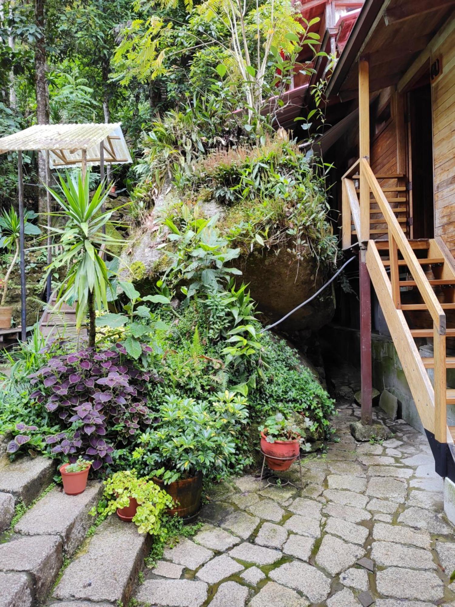 Tree House Lodge Machu Picchu Exteriör bild